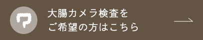 大腸カメラ検査をご希望の方はこちら